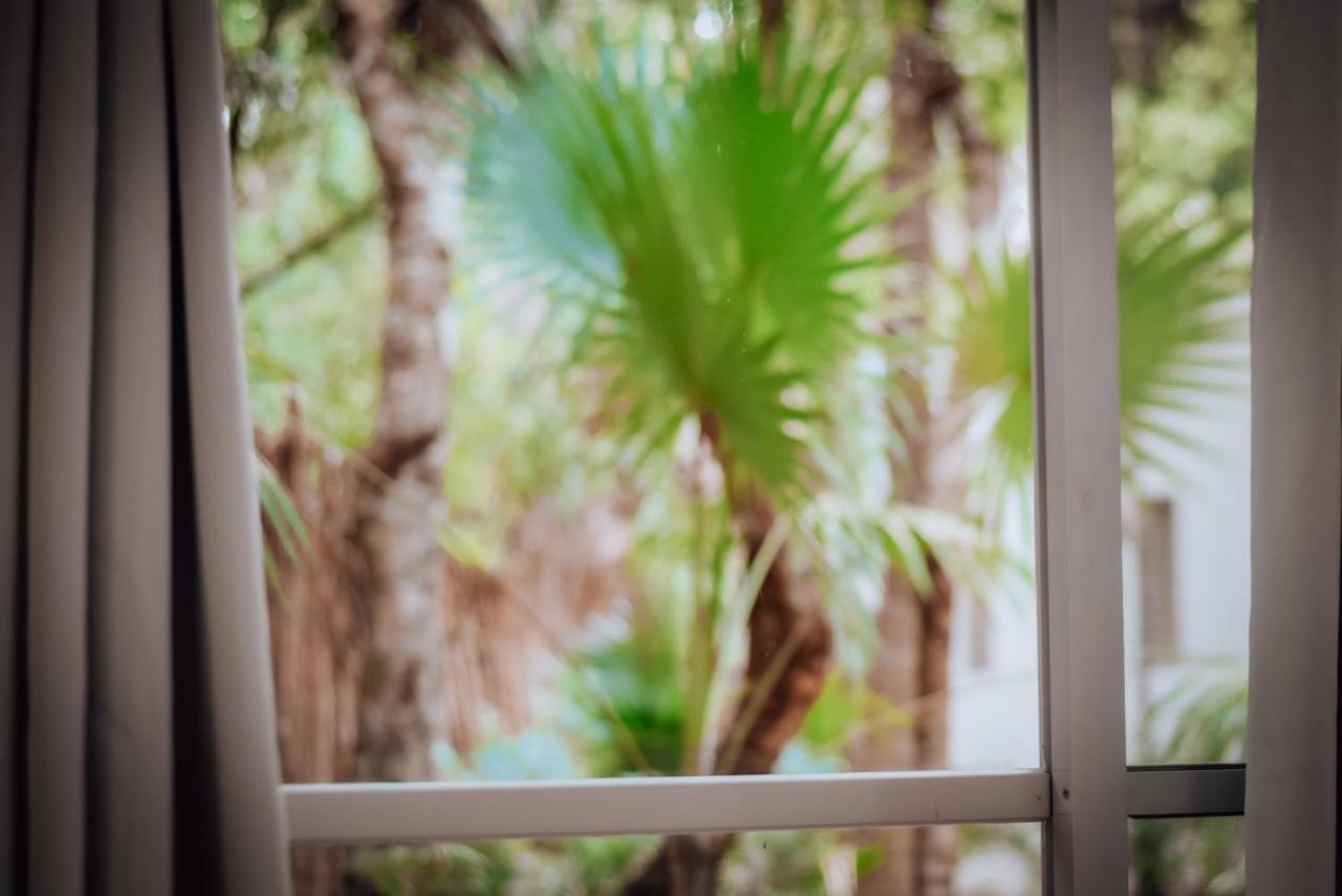 Lunita Jungle Experience photo