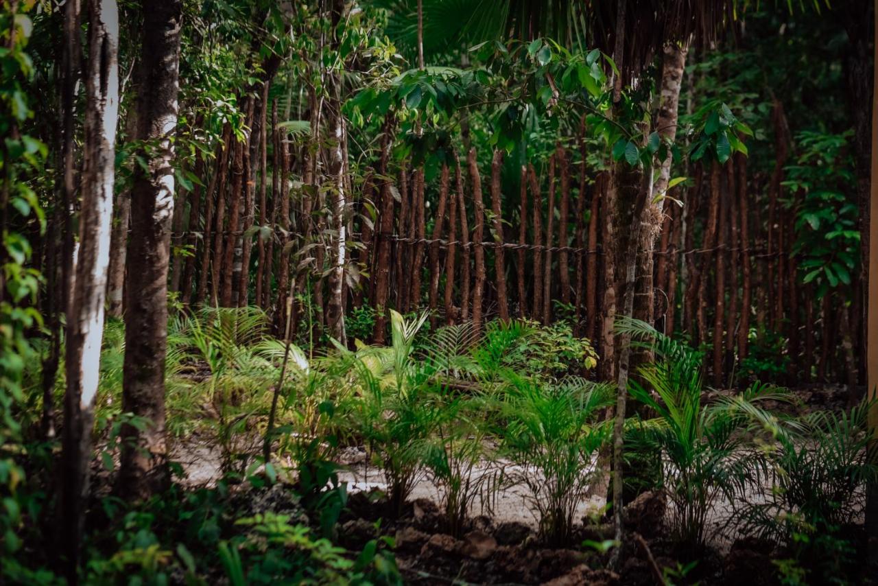 Lunita Jungle Experience photo