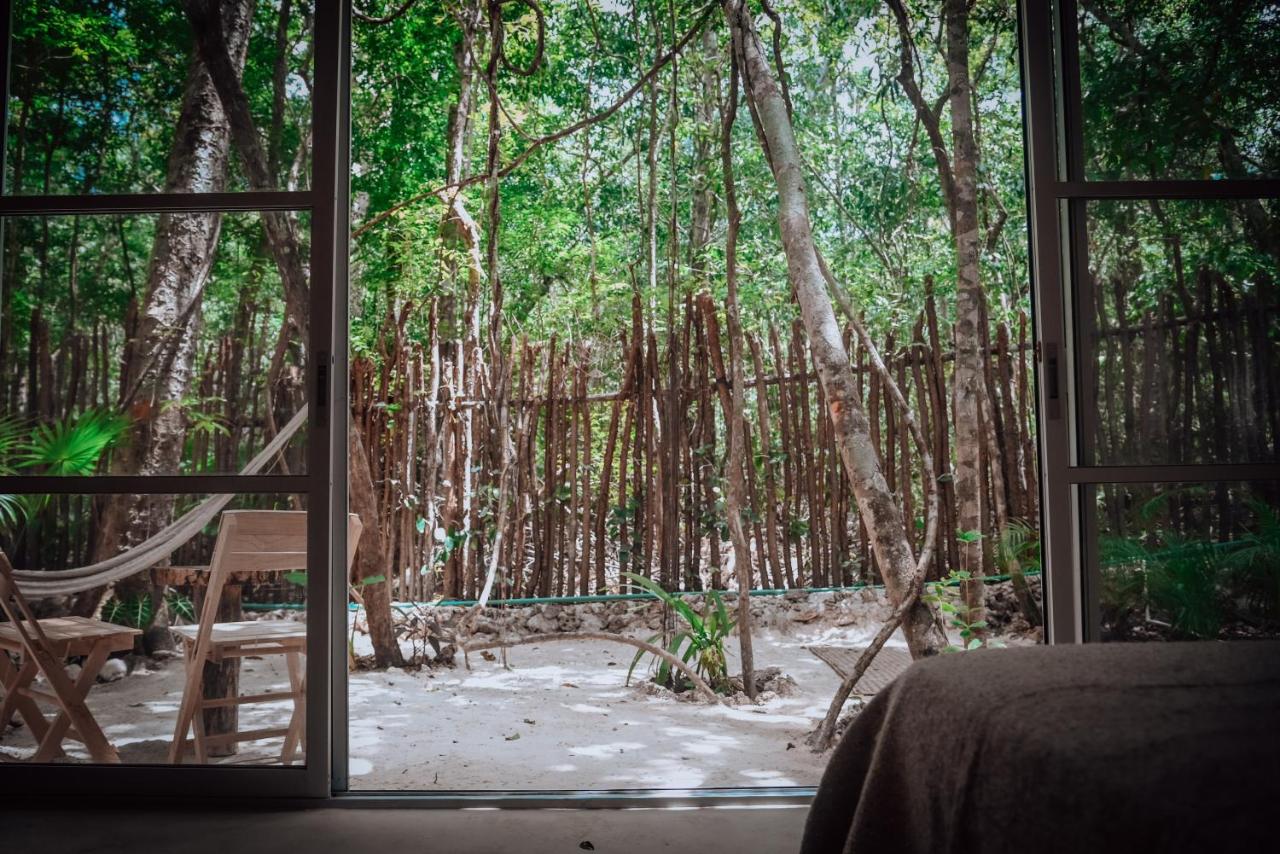 Lunita Jungle Experience photo