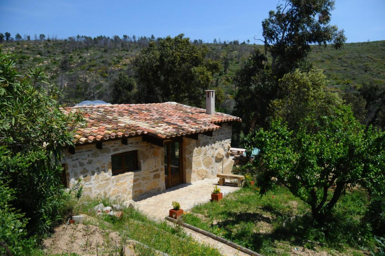 Mas Seguilla, Cistella – Updated 2022 Prices