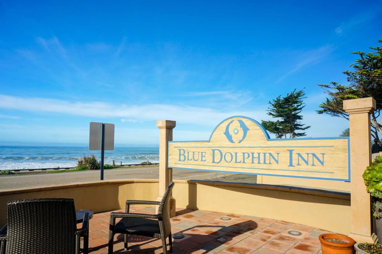 Blue Dolphin Inn — photo 18