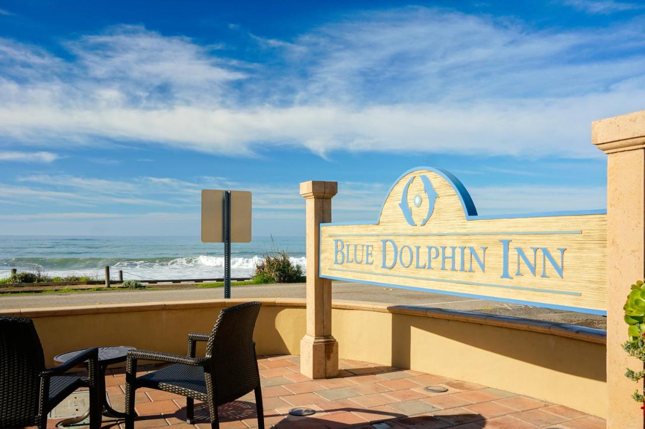 Blue Dolphin Inn — photo 24