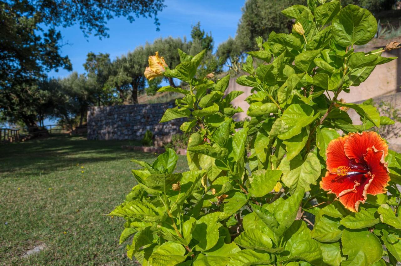 Driùs edodè - b&b affittacamere photo