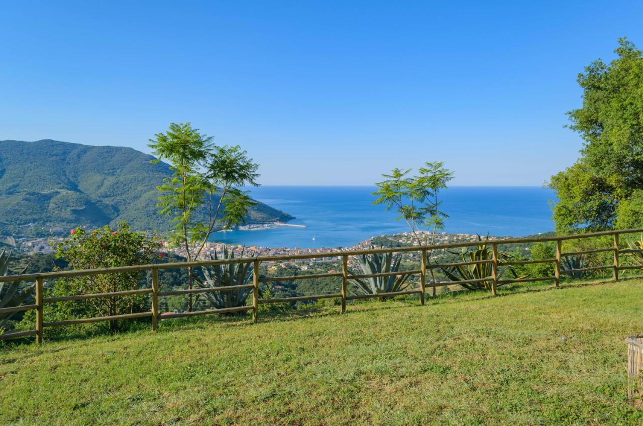 Driùs edodè - b&b affittacamere photo