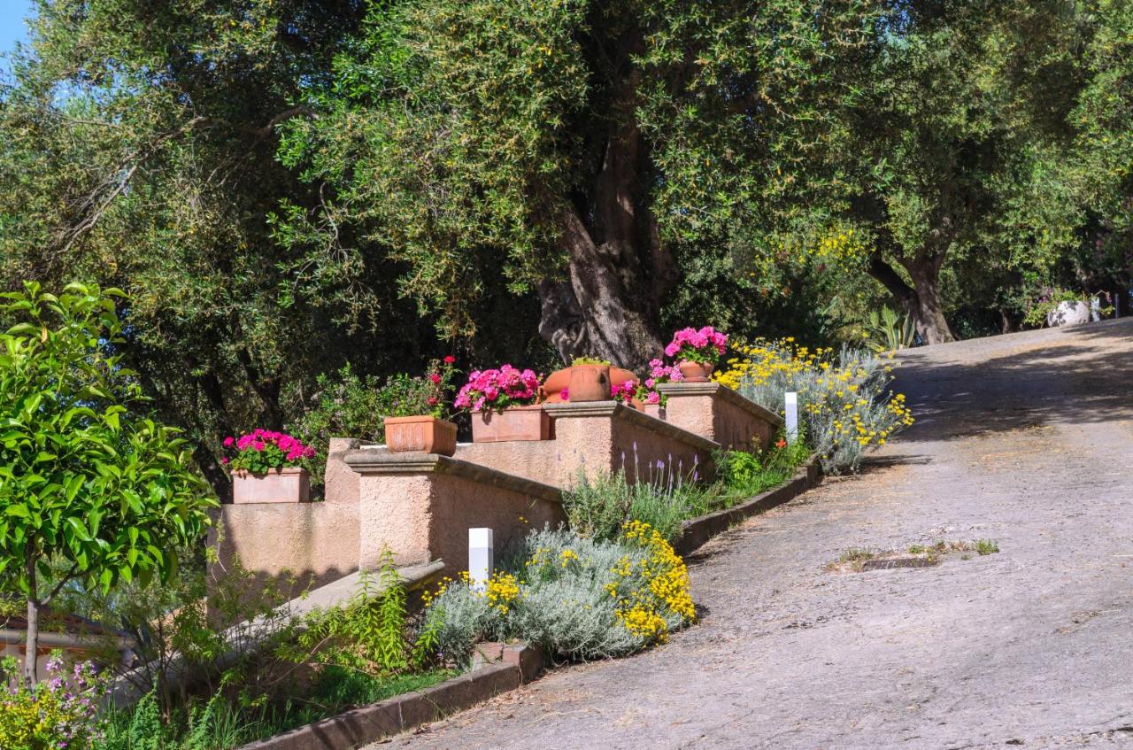 Driùs edodè - b&b affittacamere photo