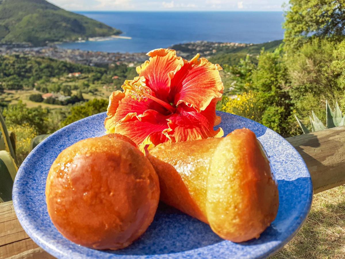 Driùs edodè - b&b affittacamere photo