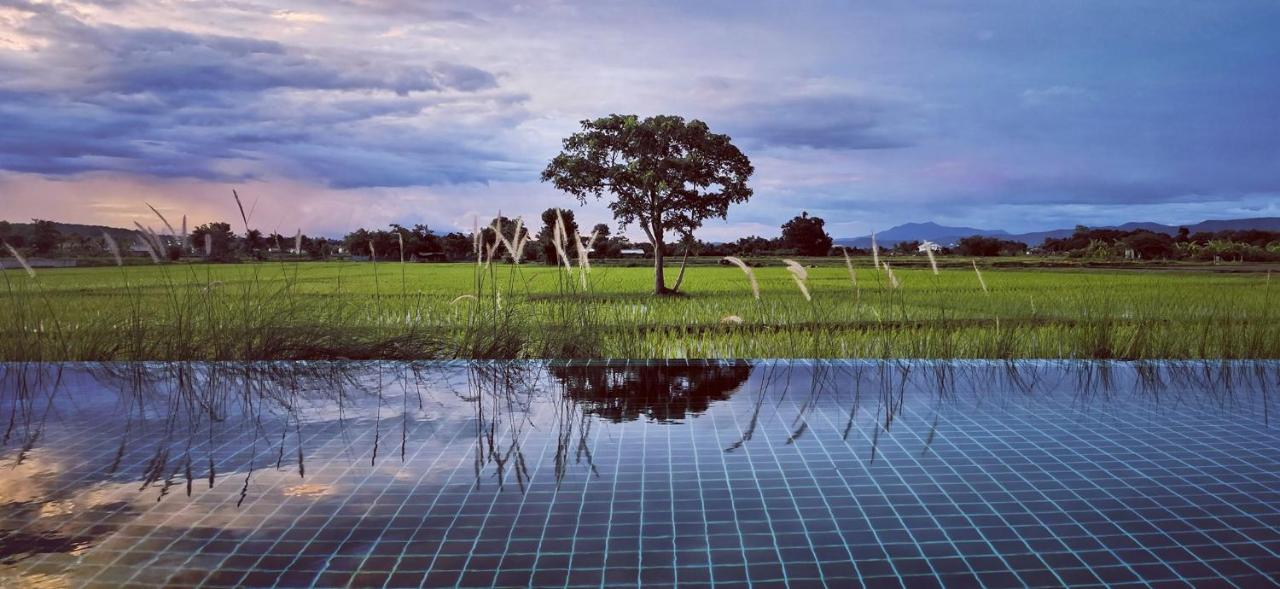 View of Rice Villa Chiang Mai