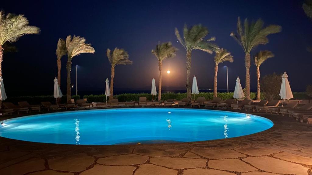 Rooftop swimming pool: Soliman house اطلالة مميزه علي البحر