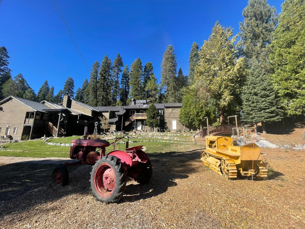 Sierra Woods Lodge — photo 6
