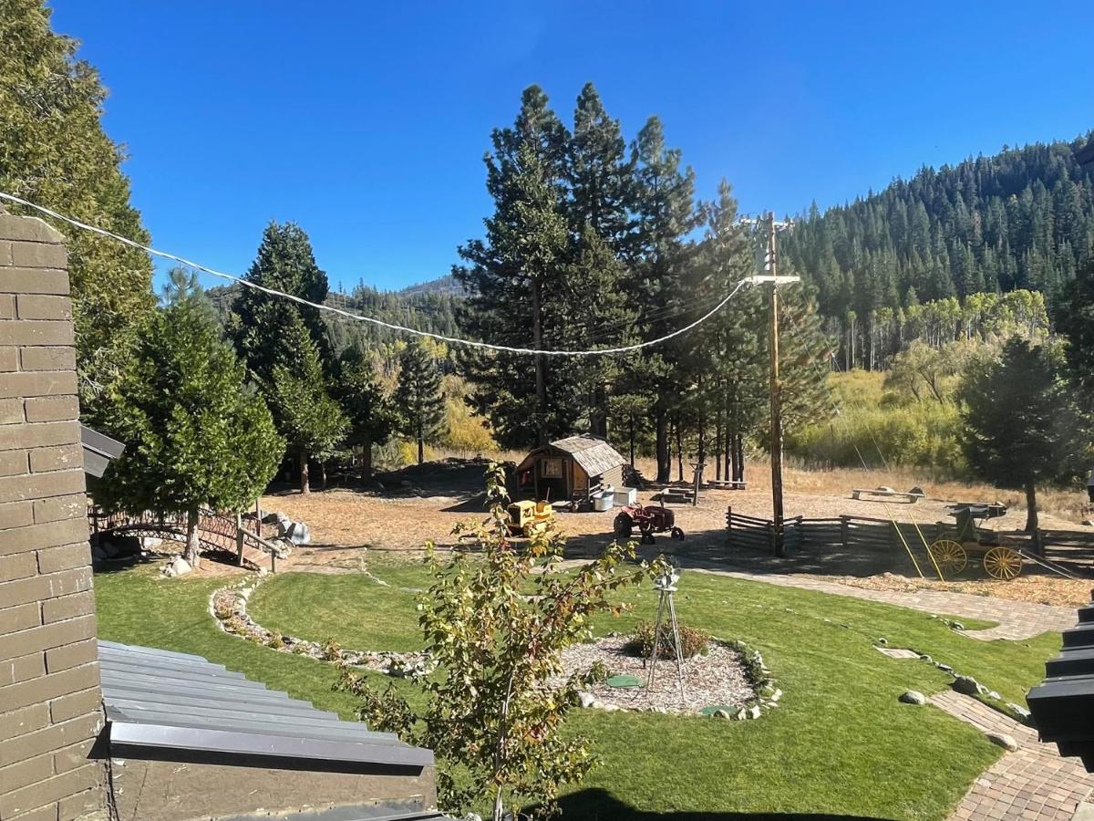 Sierra Woods Lodge — photo 23