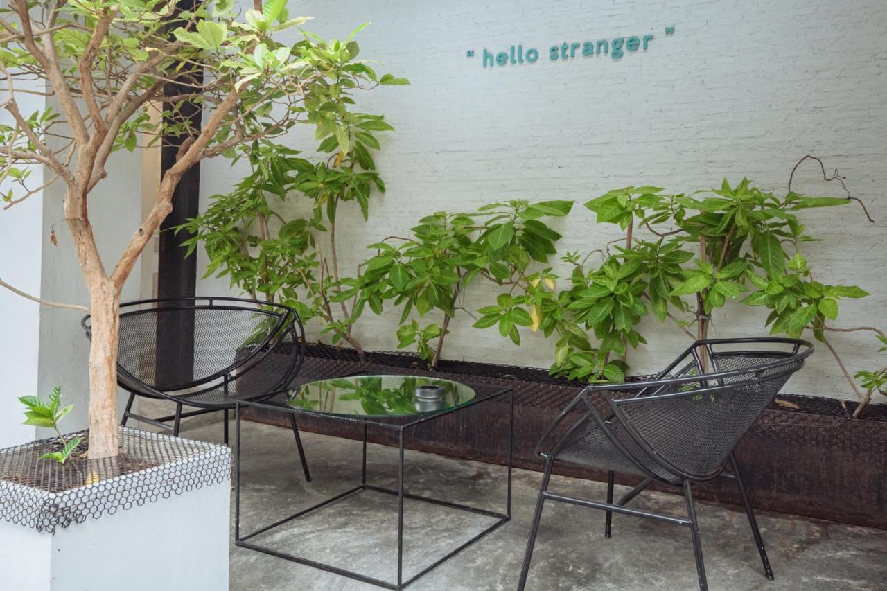 Chocolate box mint - 3