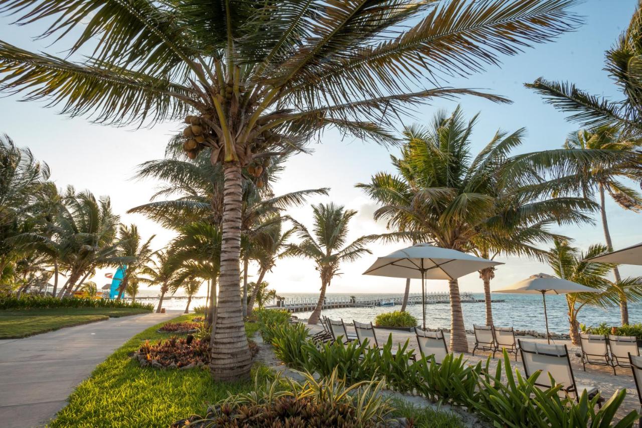 Las Terrazas Resort photo
