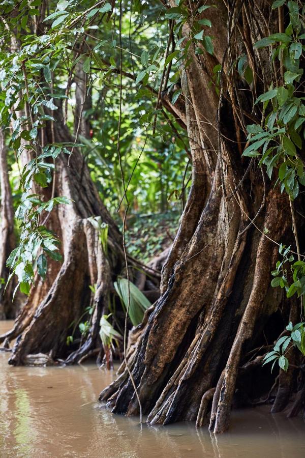 InterContinental Dominica Cabrits Resort & Spa by IHG - 2