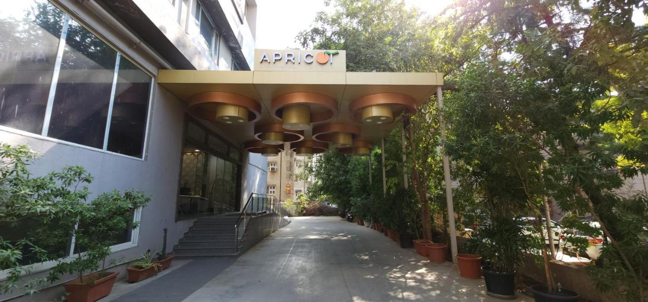 Apricot, Ahmedabad