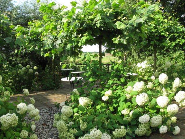 't Wapen van Middelie - 4