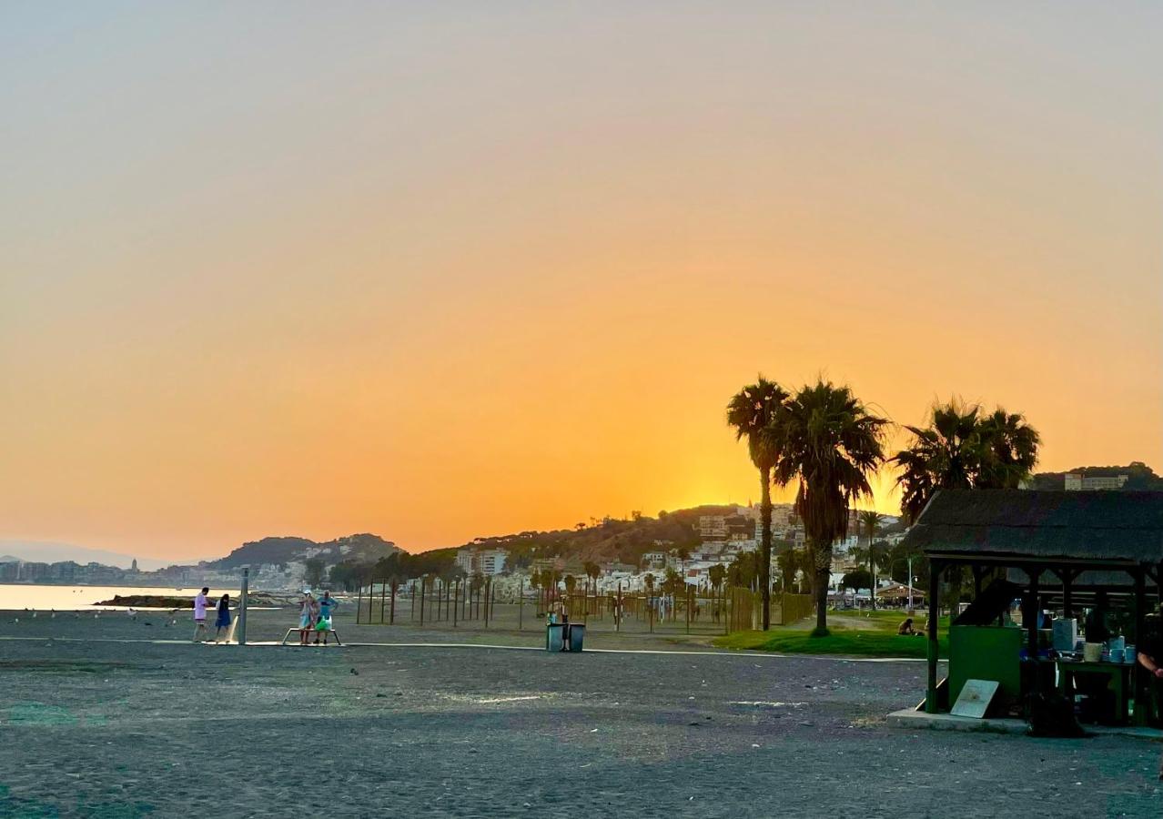 Estudio Playa Palo - 2