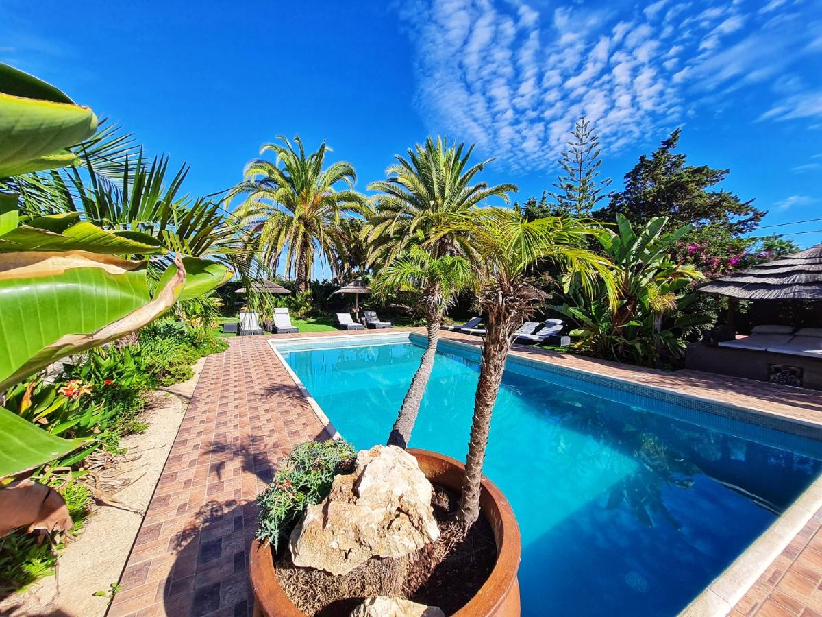 Villa Paraiso - Naturism Optional Adults Only - 2