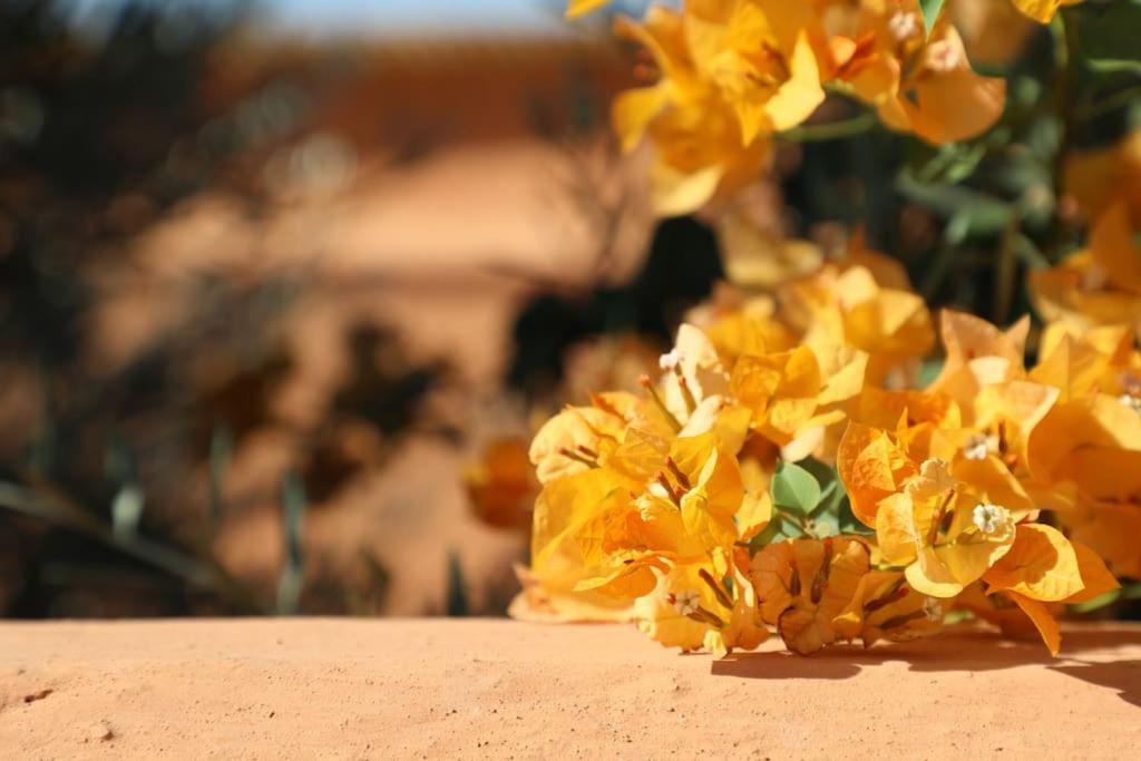 Riad Dar Zitouna Marrakesh - entire house in exclusivity - 4