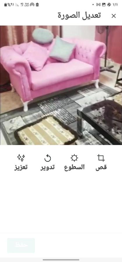 مصر الجيزة حدائق الاهرام photo