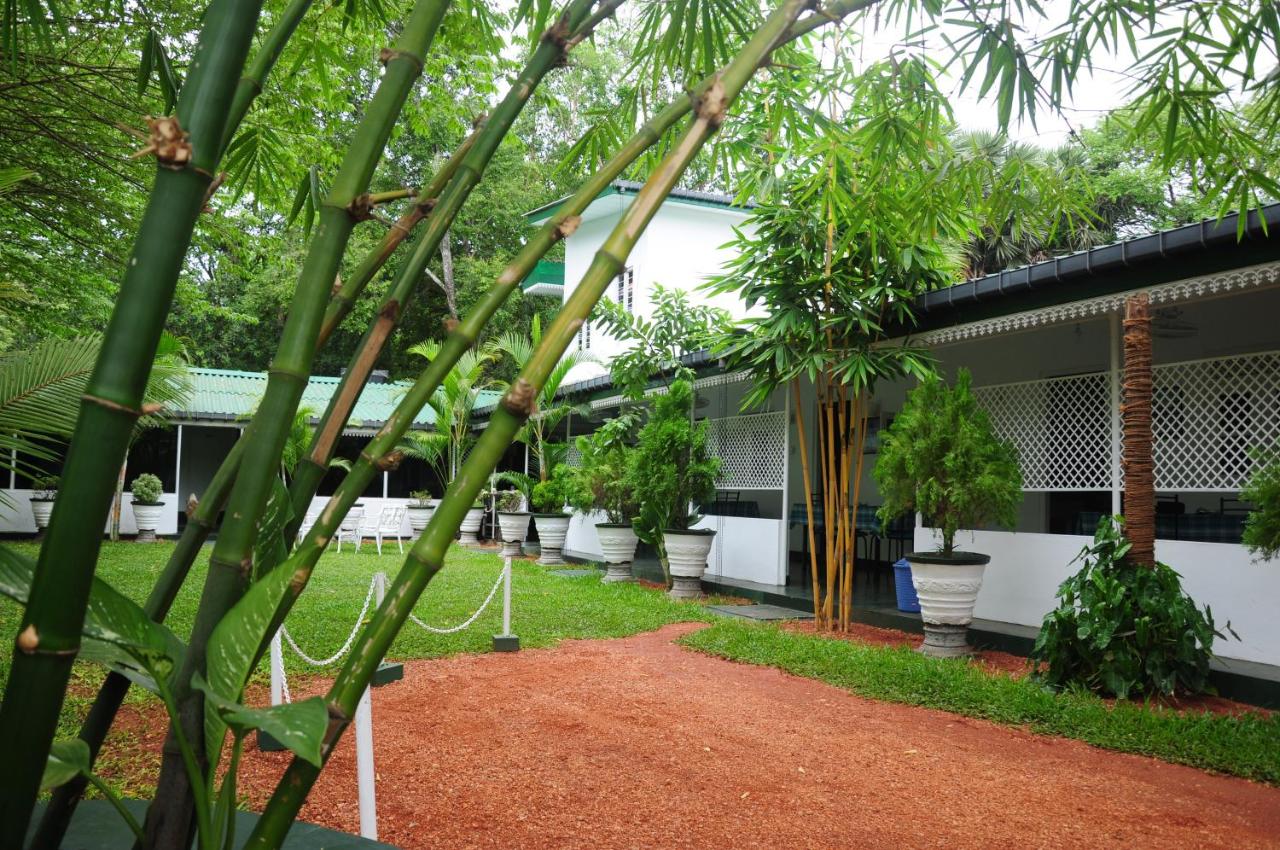 Levi's Tourist – Anuradhapura, Anuradhapura - Harga Terbaru 2022