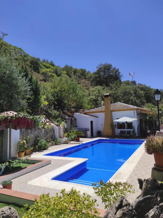Piscina en o cerca de Puente Piedra