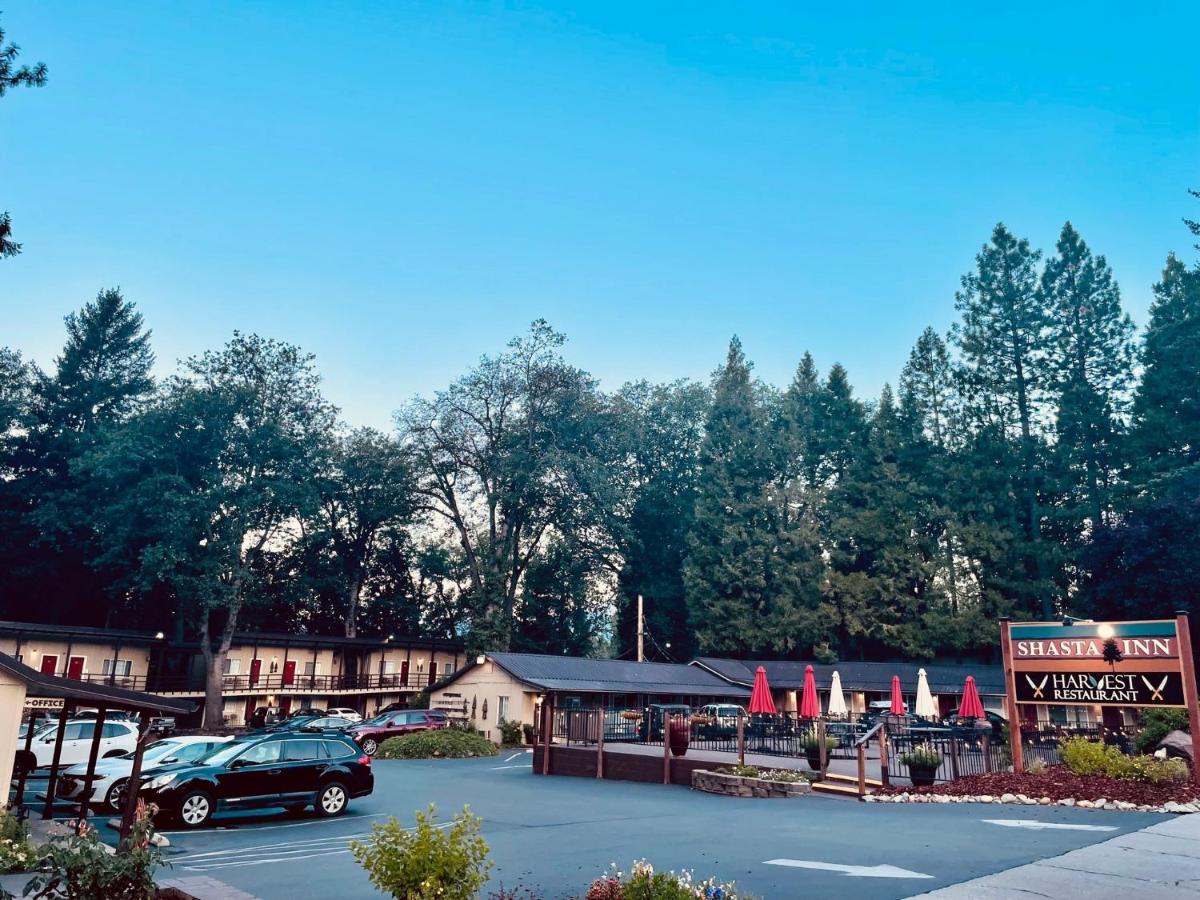 Shasta Inn — photo 22