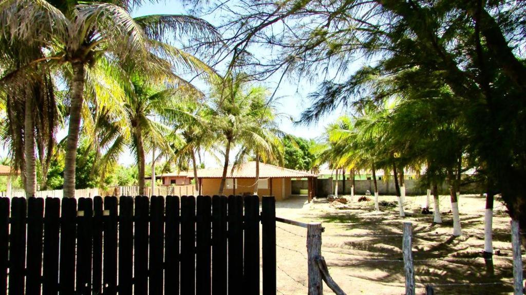Costa dos Coqueiros photo