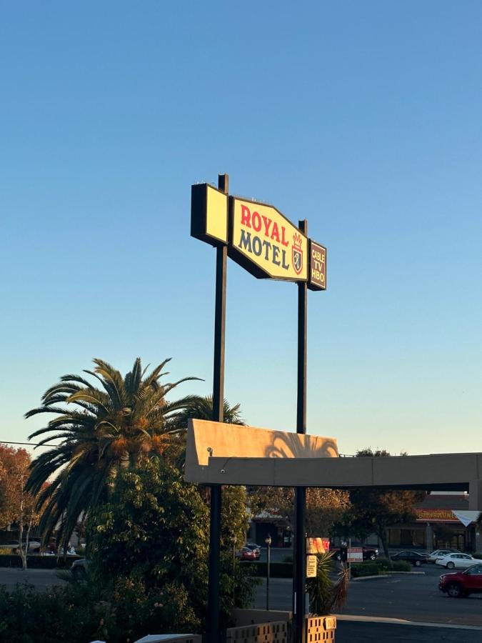 Royal Motel — photo 5