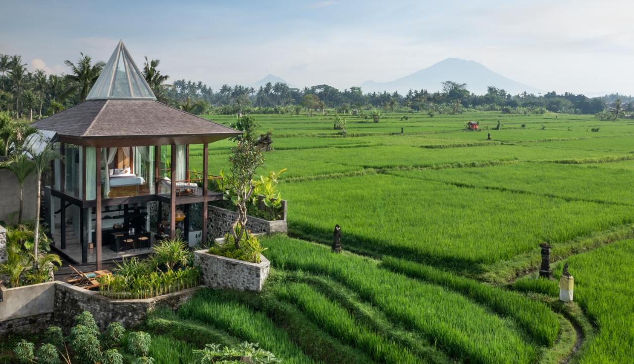 Alaya Resort Ubud