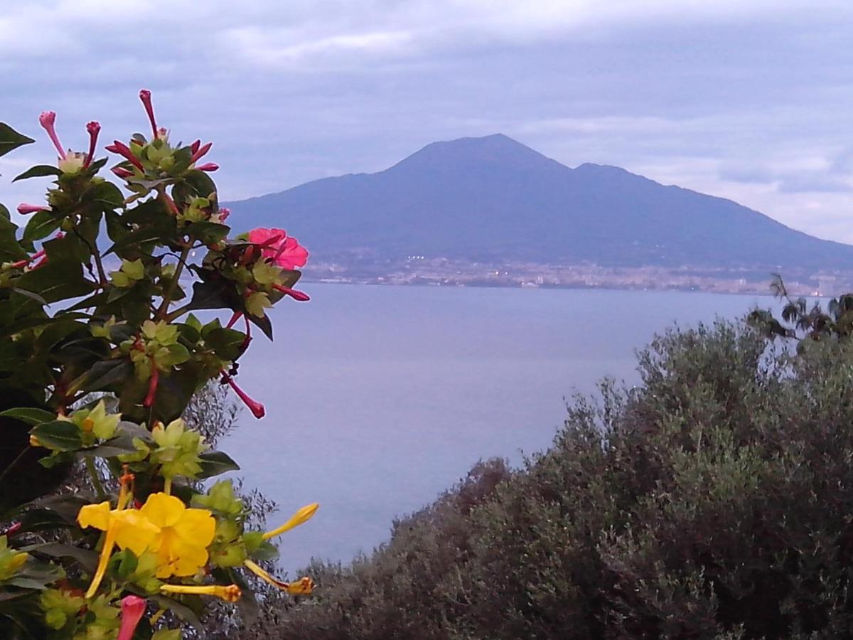 La Fusarella Villa Santoro photo