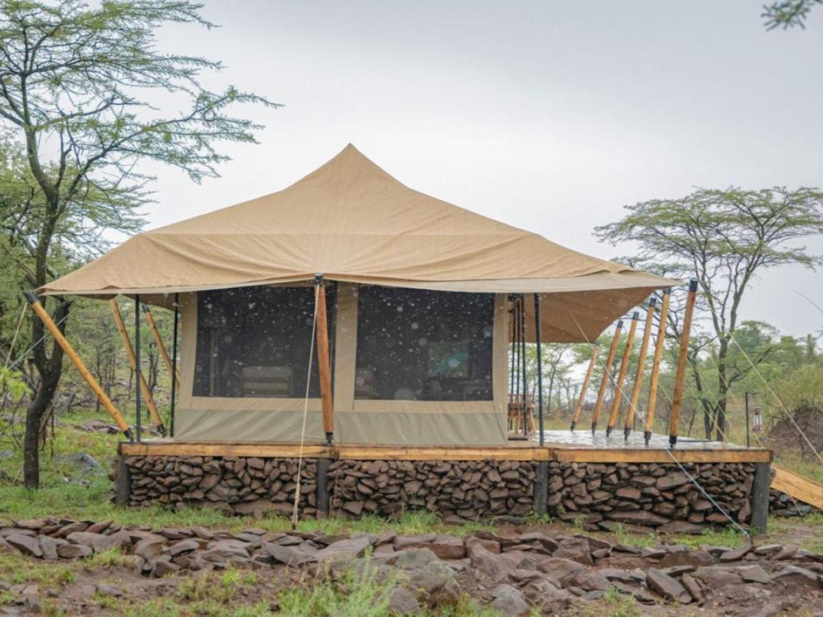 Serengeti Kifaru Tented Lodge, Mugumu – Updated 2023 Prices