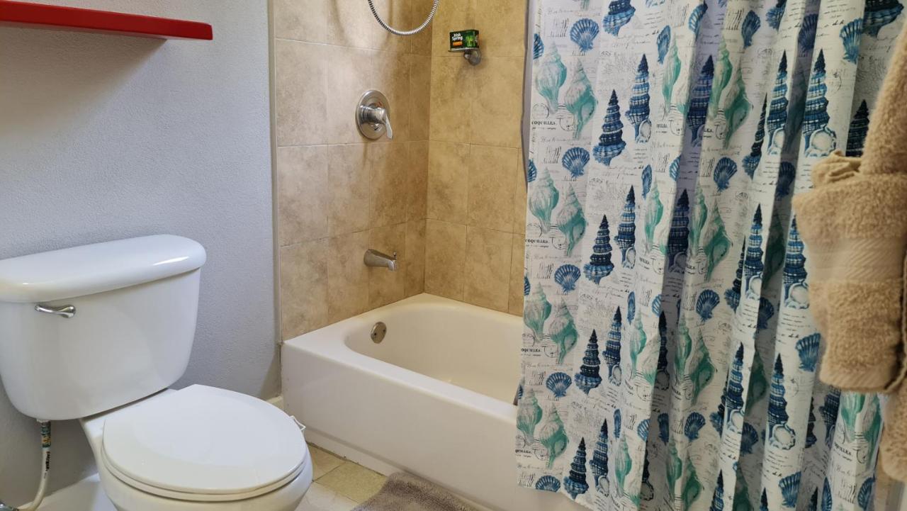 Casa Pinto Guest Apartment - 2