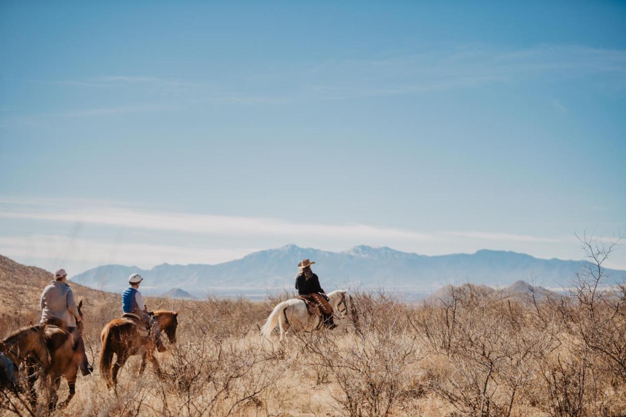 Tombstone Monument Guest Ranch — photo 11