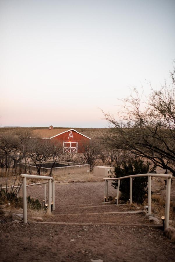Tombstone Monument Guest Ranch — photo 22