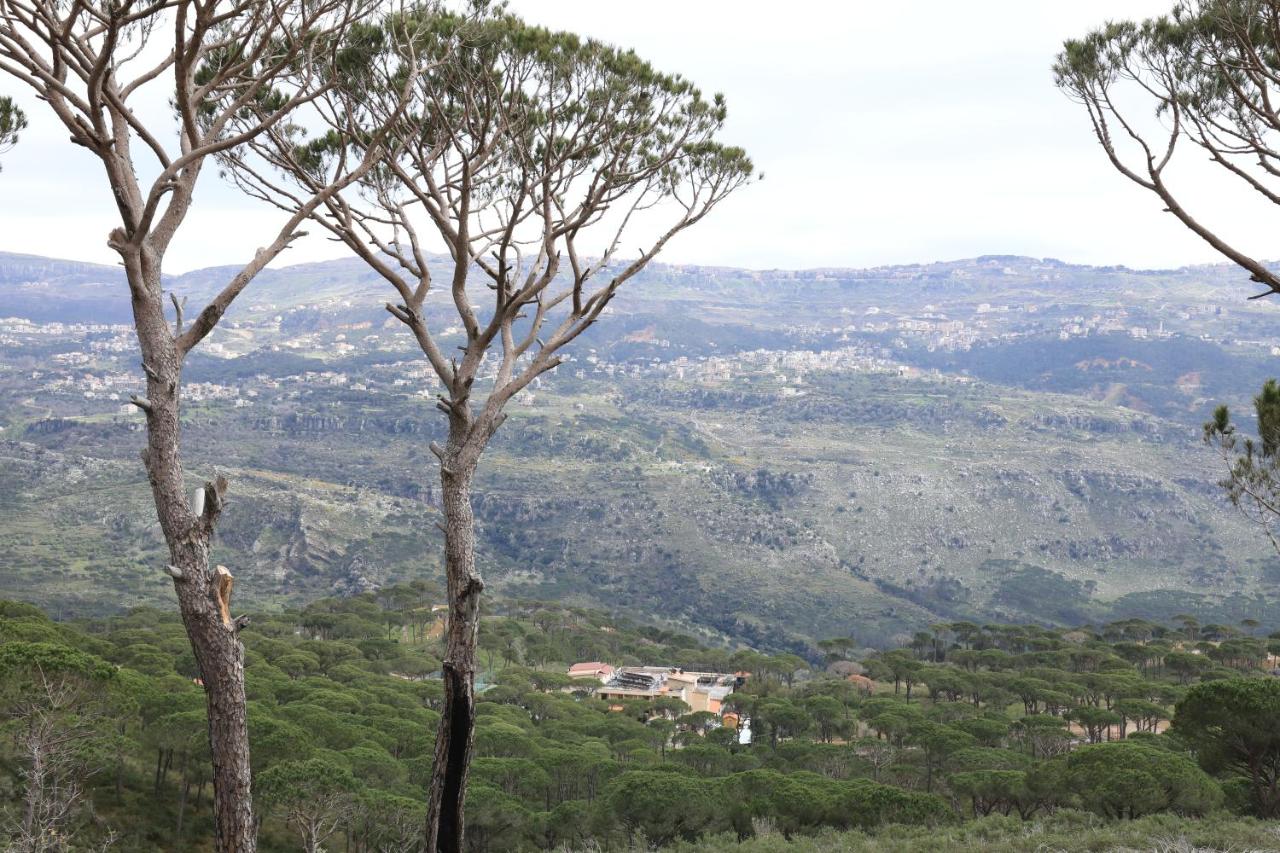 Pineland Hotel and Health Resort photo