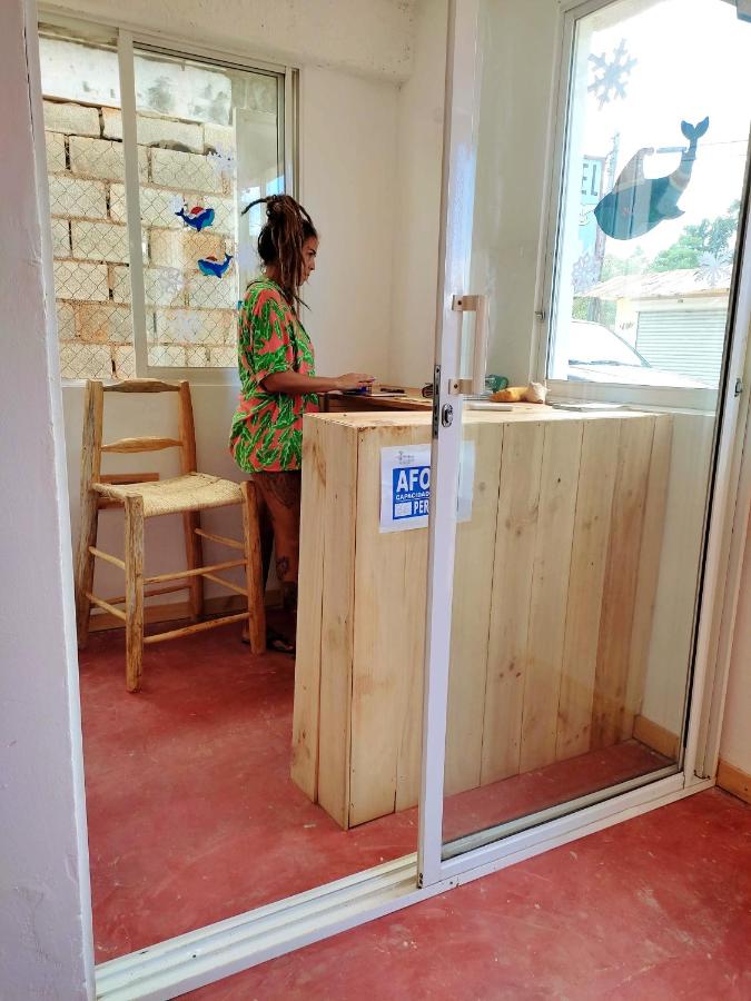 Hostel La Ballena Backpacker - 3