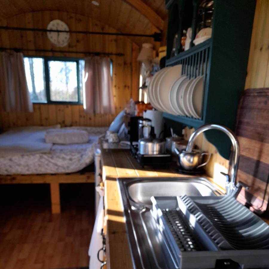 Lower Haven Shepherds Hut - 4