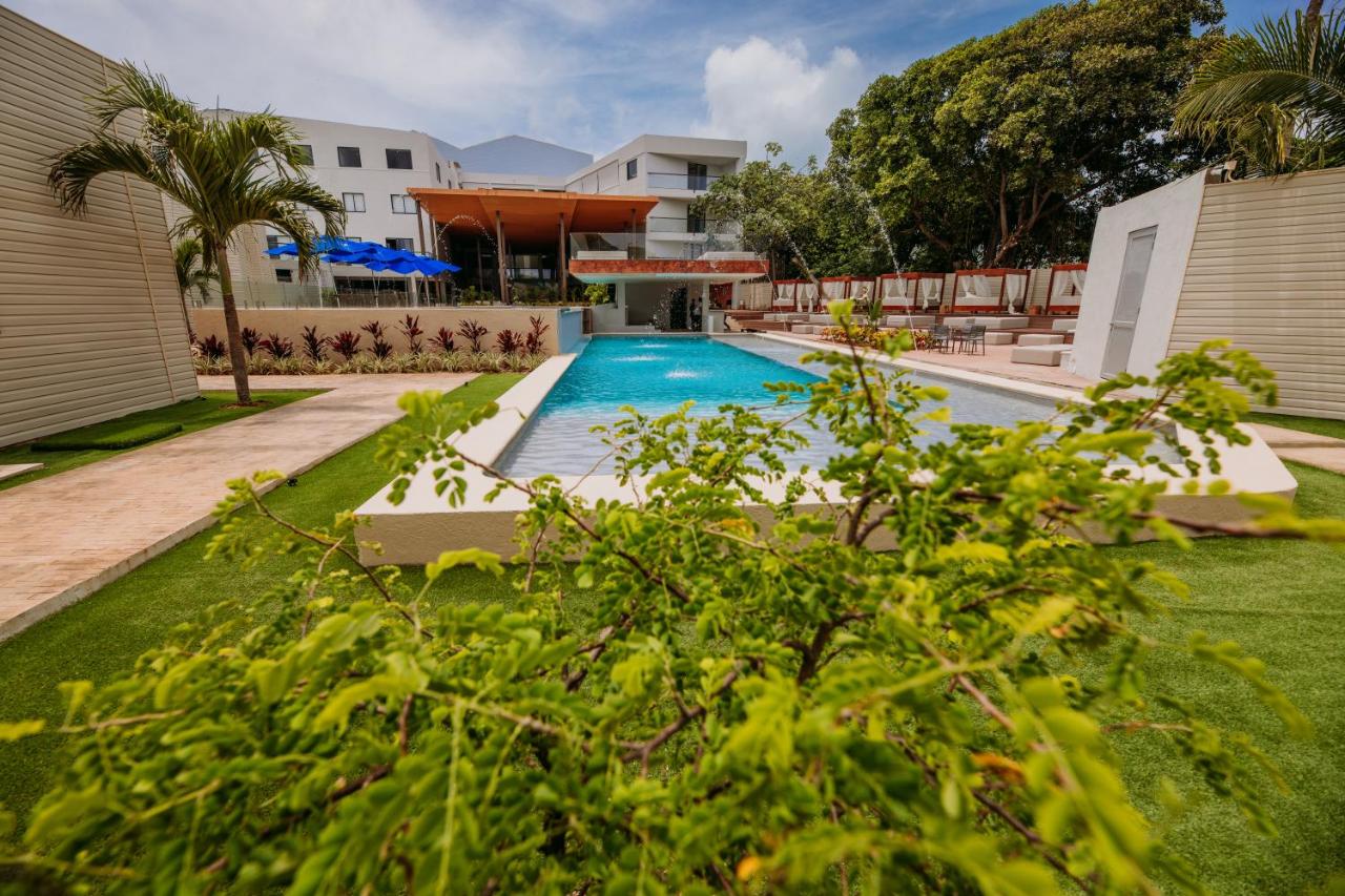 Dreamer Beach Club photo