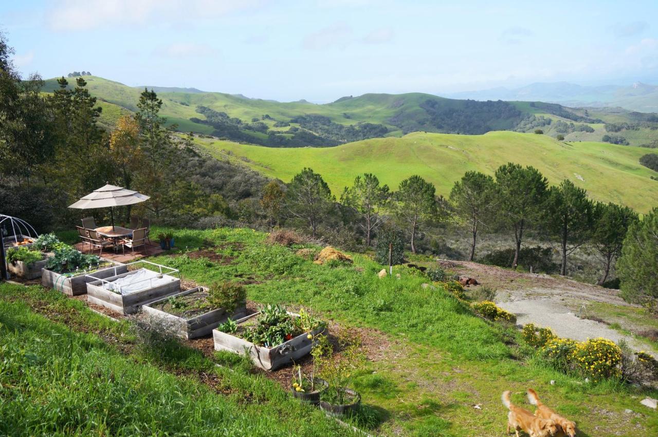 Irish Hills House & Vista House — photo 24