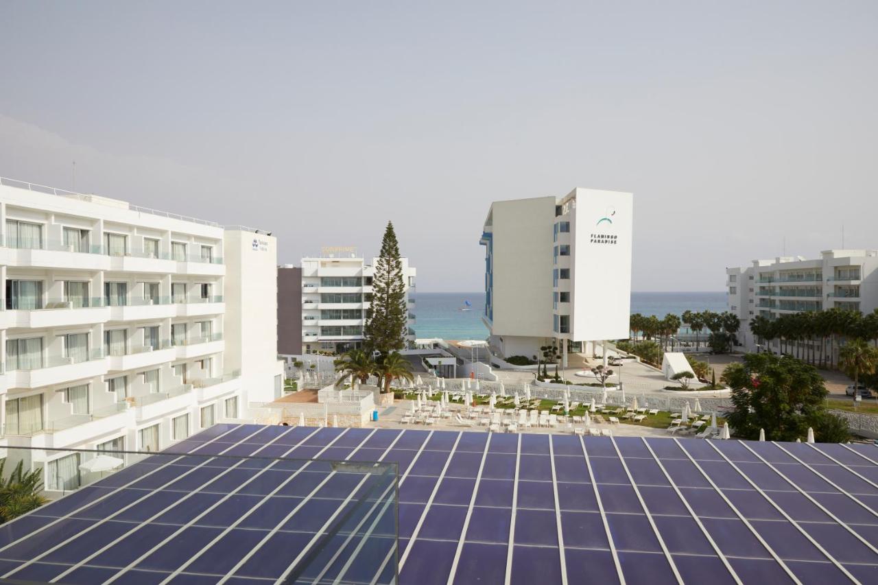 Odessa Beach Hotel photo