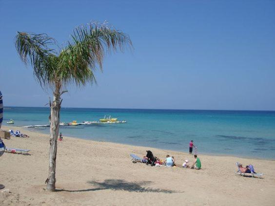 Vrissiana Boutique Beach Hotel photo