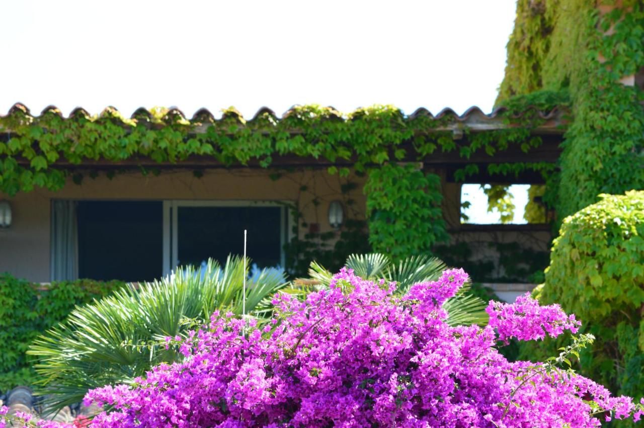 Residence Fenicia photo