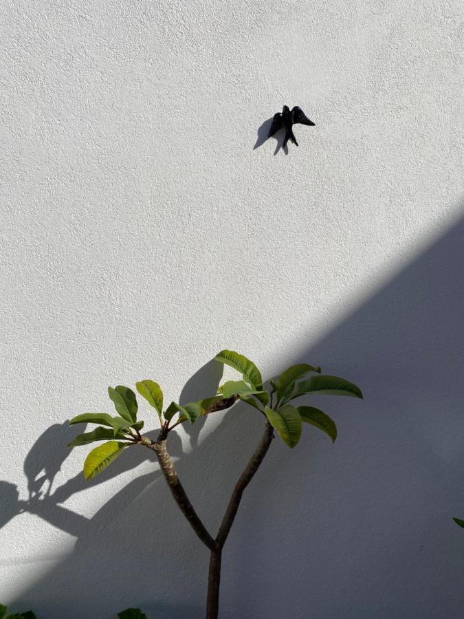 Residencial Arabi - 5