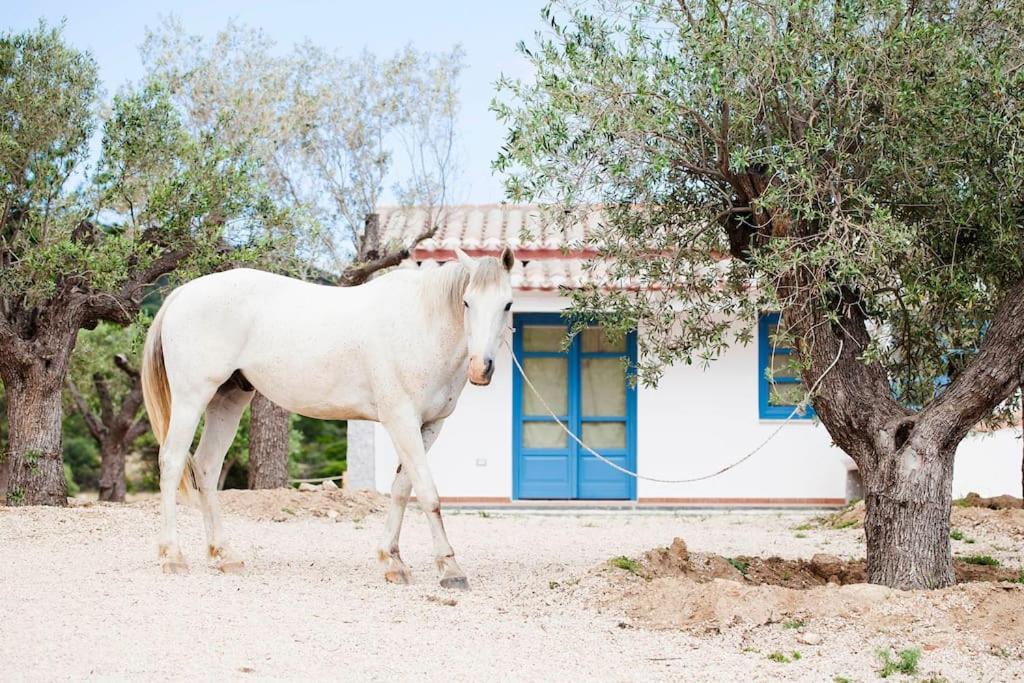 Villa Filaris photo