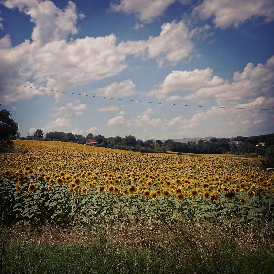 Valcastagno Relais photo