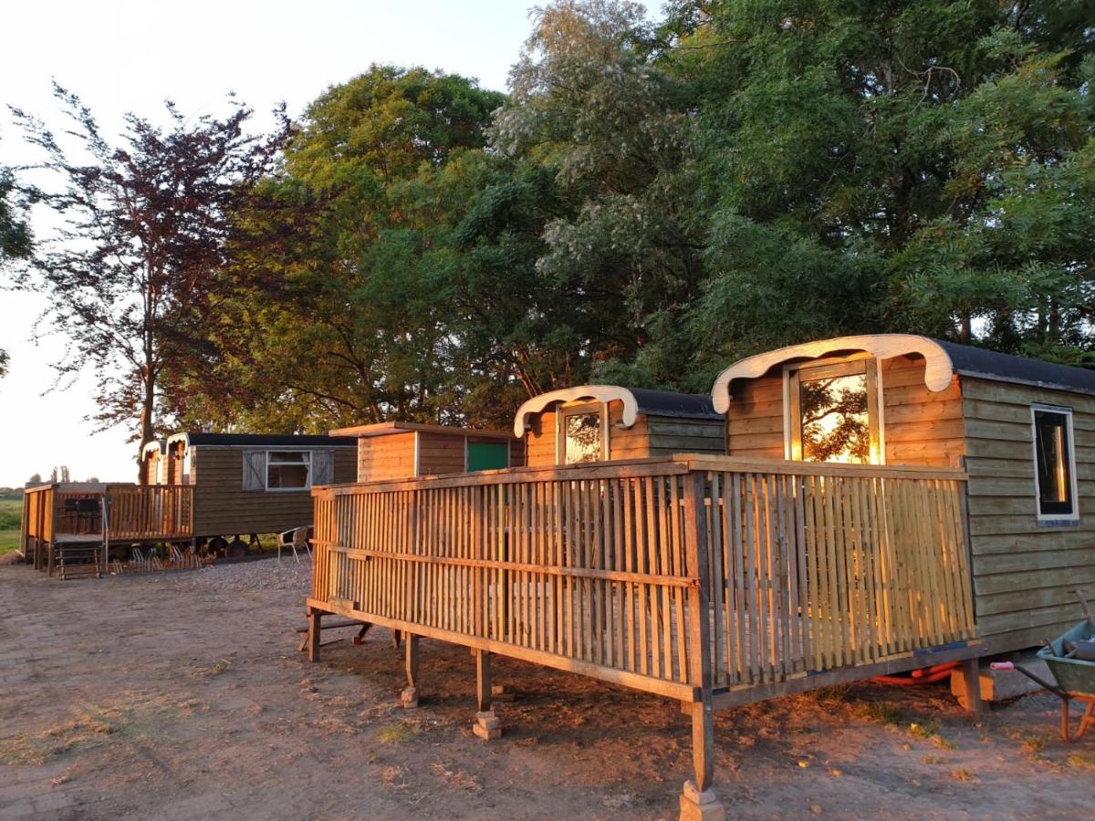 The Cuckoo's nest - 2