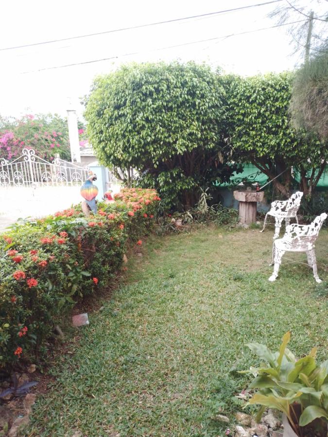 Tina's Guest House - 4