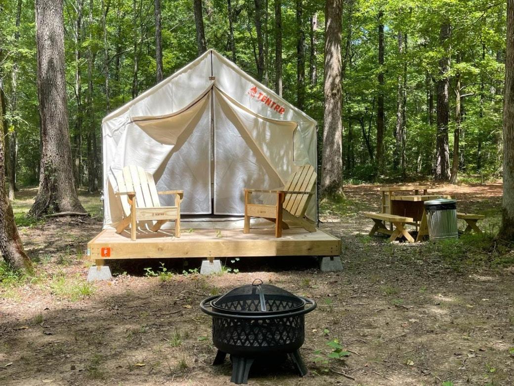 Luxury tent Tentrr State Park Site - Mississippi Wall Doxey State Park -  Woodland F - Single Camp, Holly Springs, MS - Booking.com
