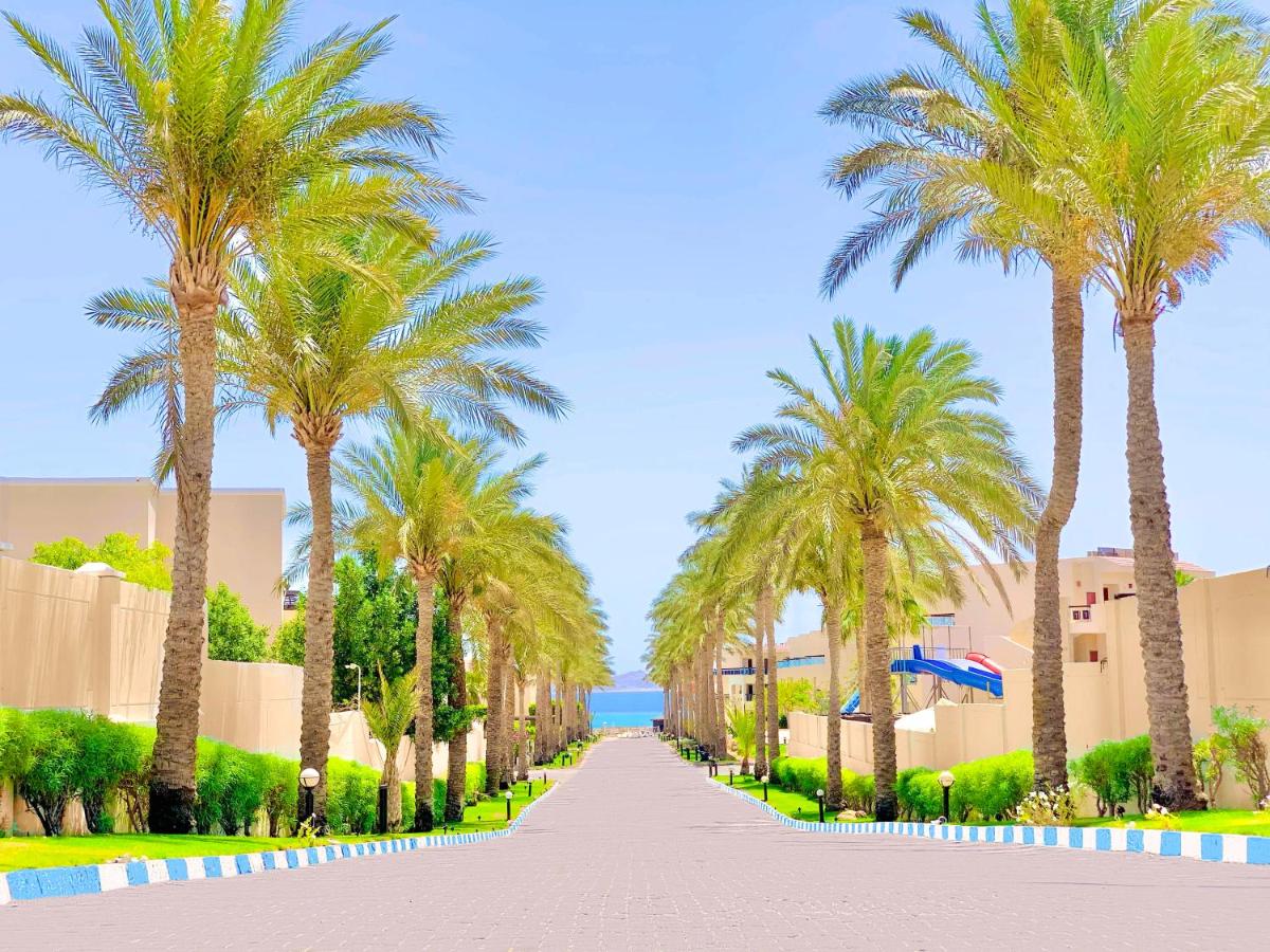 Ivy Cyrene Island Resort photo