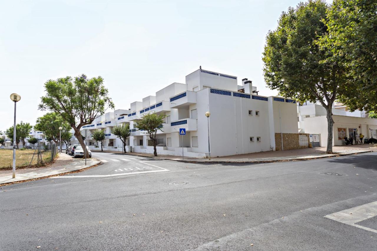 Lavender Apartment - 4